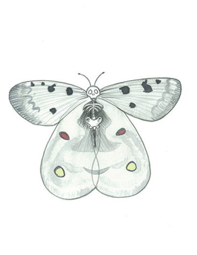 vanité-papillon-gris