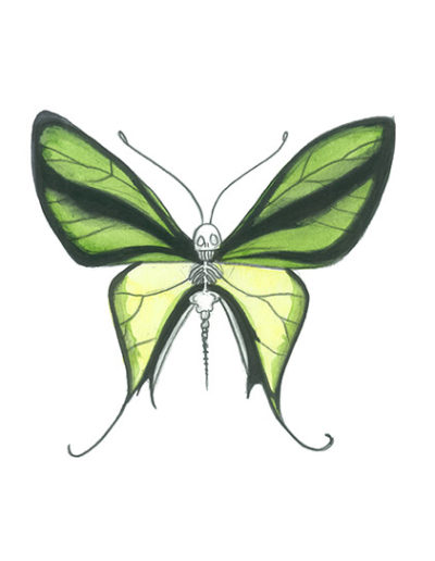 vanité-papillon-vert