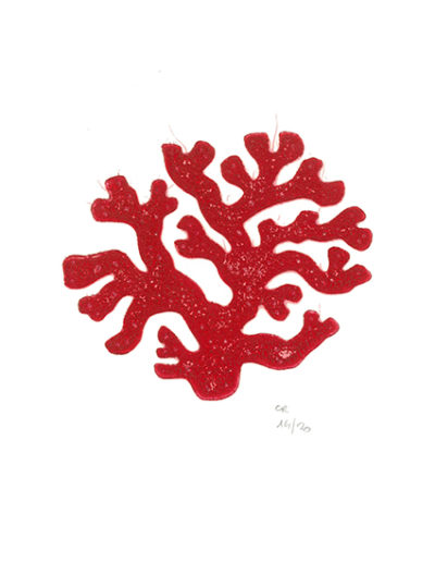 corail rouge- gravure sur bois - 15x20 cm - 2019